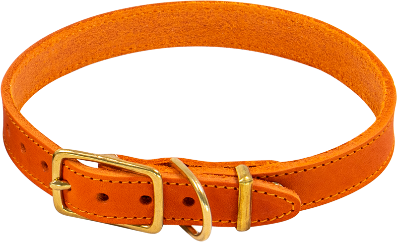 AB POSH LEATHER Collar Orange-12mmx23-31cm