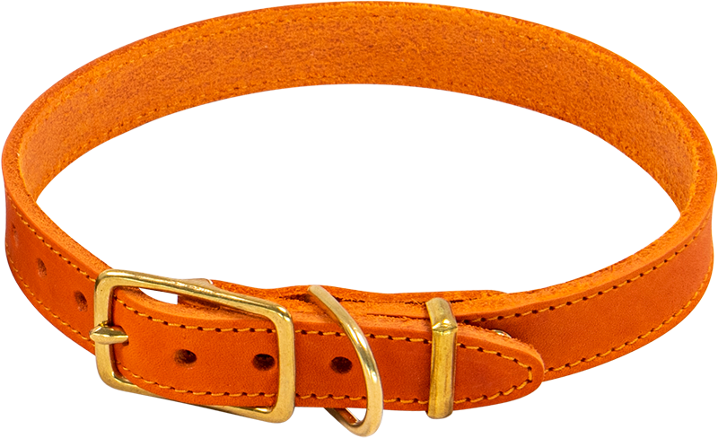 [AB31020] AB POSH LEATHER Halsband Oranje-22mmx44-56cm
