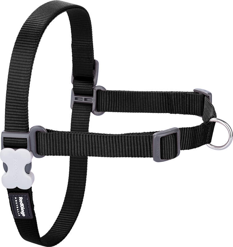 RD No-Pull-Geschirr Schwarz-XS 