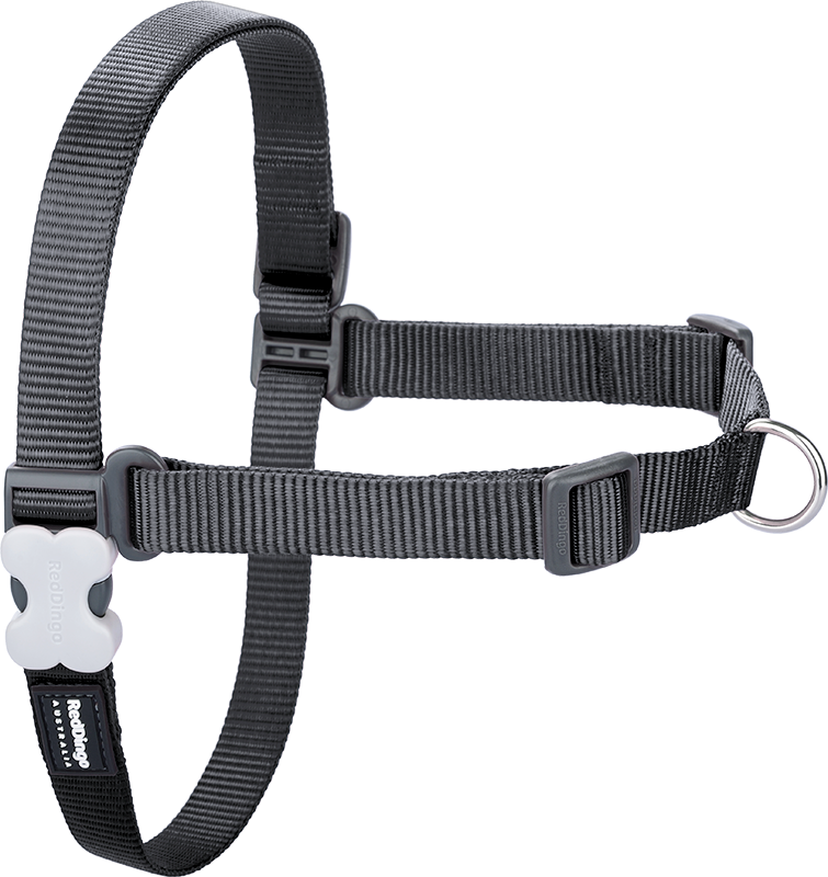 RD No-Pull-Geschirr Grau-XS 