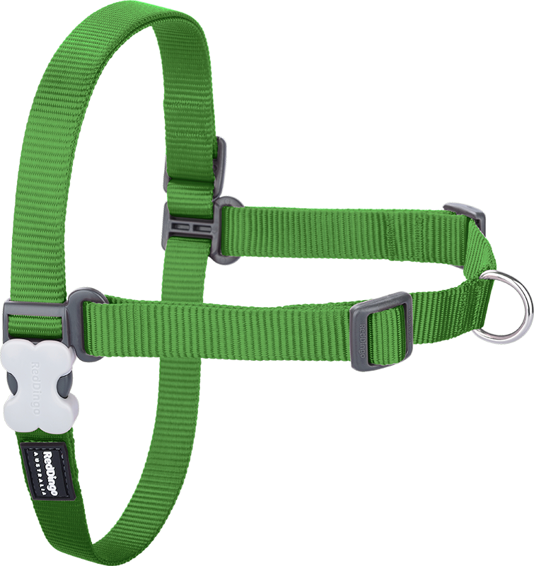 RD No-Pull Harness Green-XS 