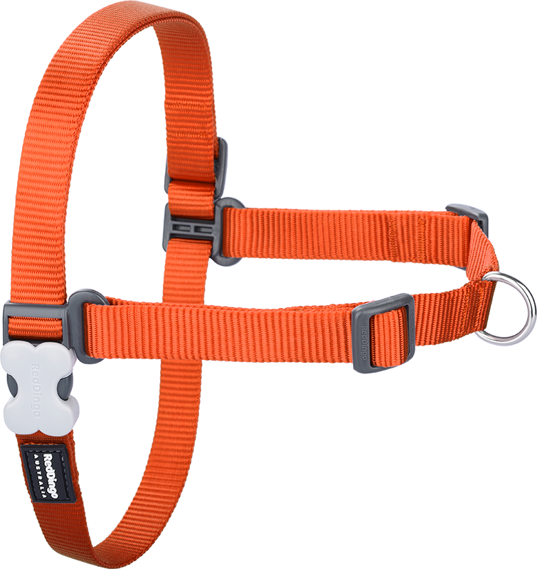 [NH-ZZ-OR-XS] RD No-Pull-Geschirr Orange-XS 