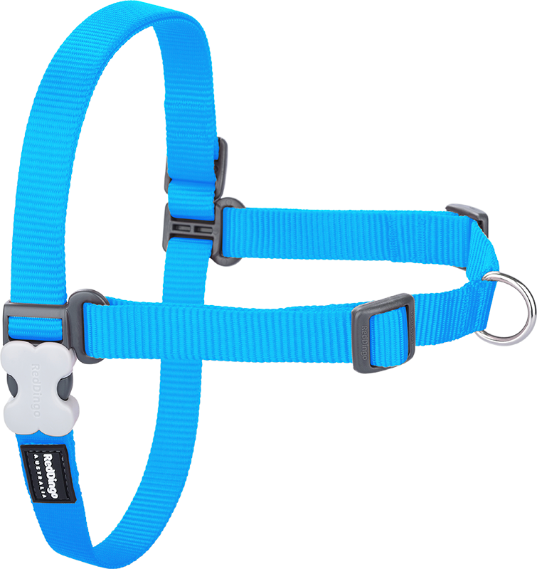 RD No-Pull Harness Turquoise-XS 