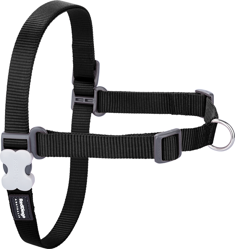 RD No-Pull Harness Black-S 