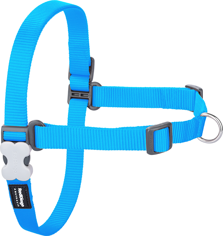 RD No-Pull Harnas Turquoise-S 