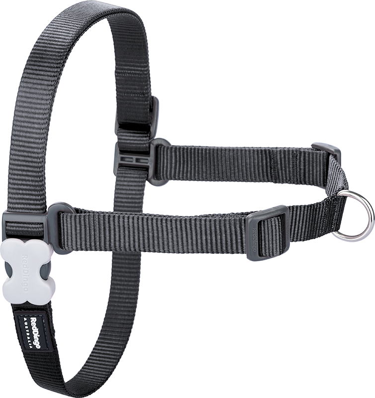 RD No-Pull Harness Grey-S/M 