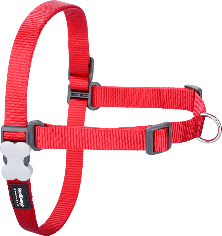 RD No-Pull-Geschirr Rot-S/M 