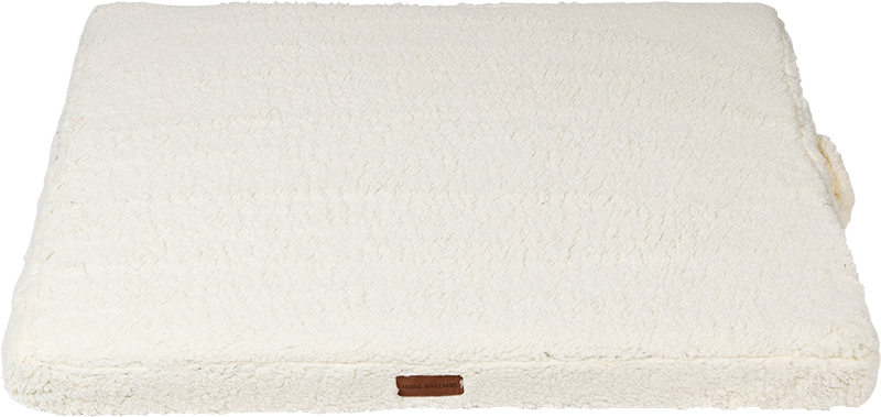 AB TEDDY Orthopädisches Hundebett mit Wasserdichtem Futter Weiss-M 75x60x10cm