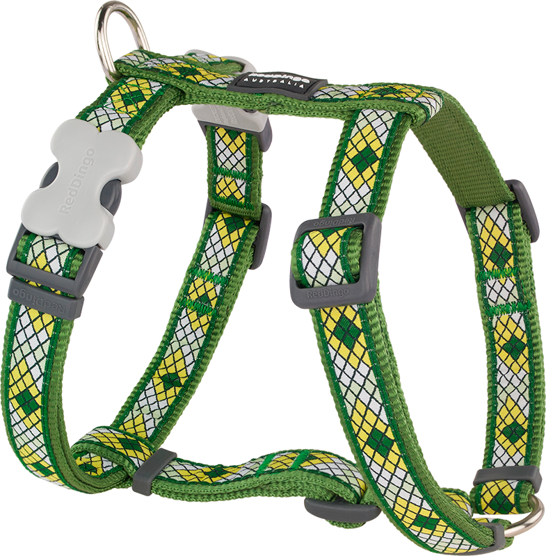 RD Harnas Monty Groen-XS 12mm