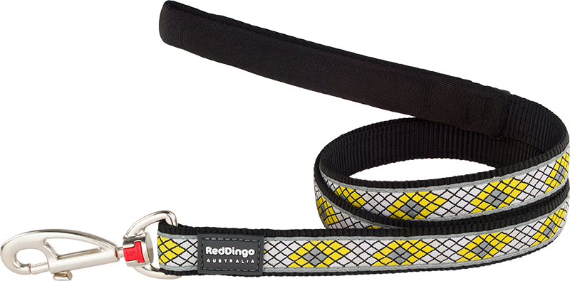 RD Laisse Monty Noir-M 20mmx1,2m