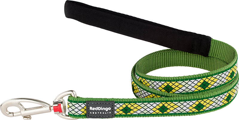 RD Laisse Monty Vert-M 20mmx1,2m