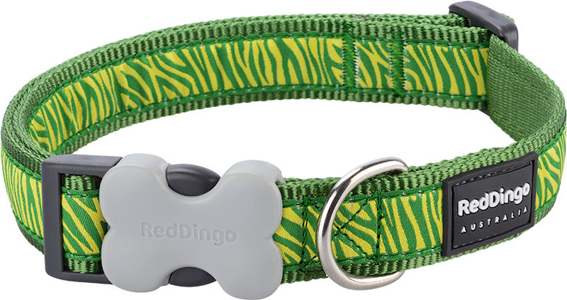 RD Halsband Safari Grün-L 25mmx41-63cm