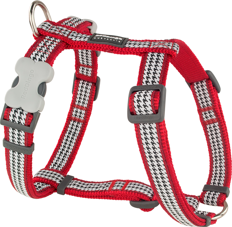 [DH-FG-RE-12] RD Harnas Fang it Rood-XS 12mm