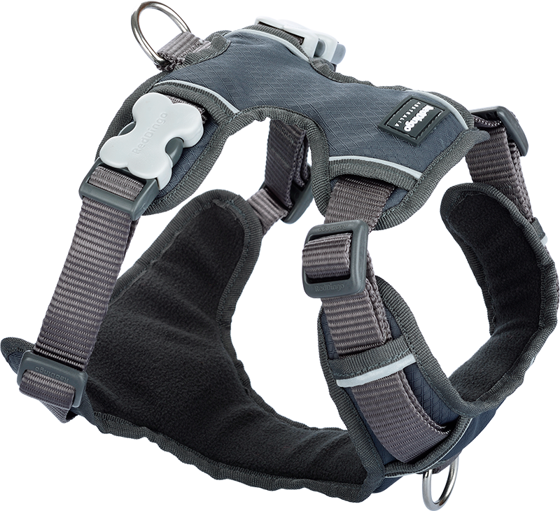 [DH-PH-GY-XS] RD Gepolstertes Gurtzeug Grau-XS 12mm