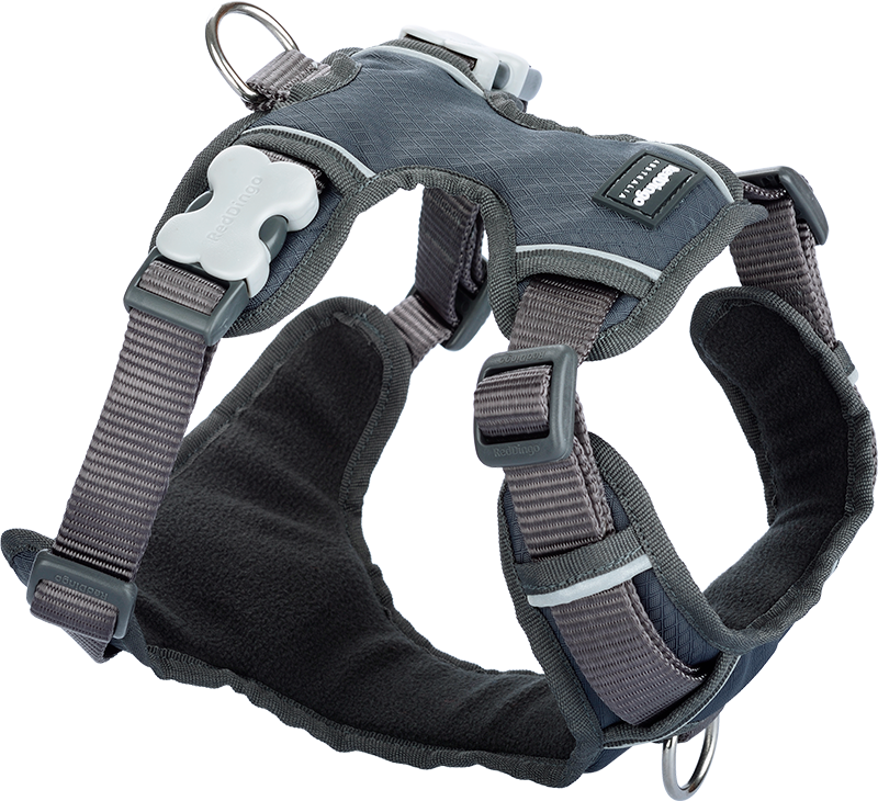 RD Padded Harness Grey-XS 12mm