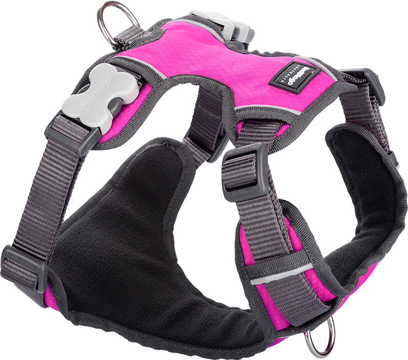 RD Padded Harness Pink-M 20mm