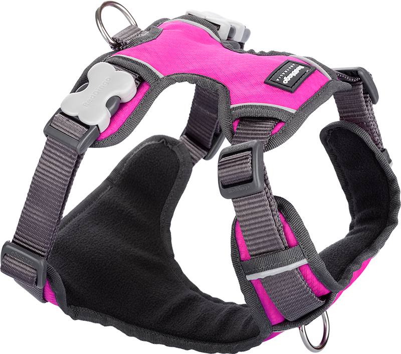 [DH-PH-HP-XS] RD Gepolstertes Gurtzeug Rosa-XS 12mm
