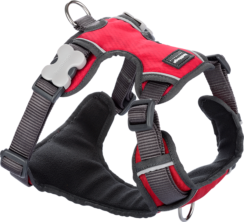 RD Padded Harness Red-S 15mm