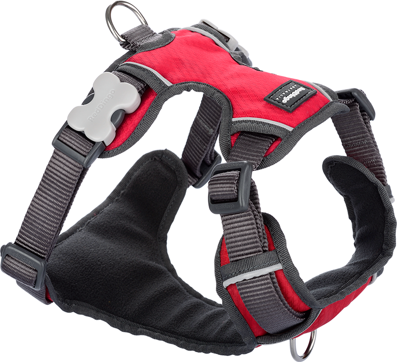 RD Gewatteerd Harnas Rood-XS 12mm