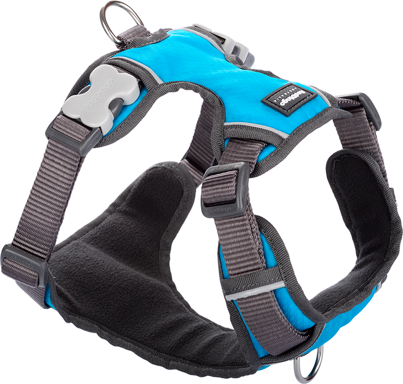 RD Gewatteerd Harnas Turquoise-XS 12mm