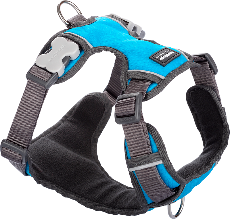 RD Padded Harness Turquoise-XS 12mm