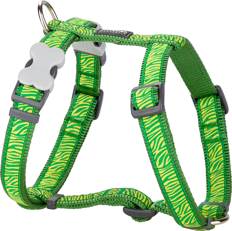 RD Harnais Safari Vert-XS 12mm