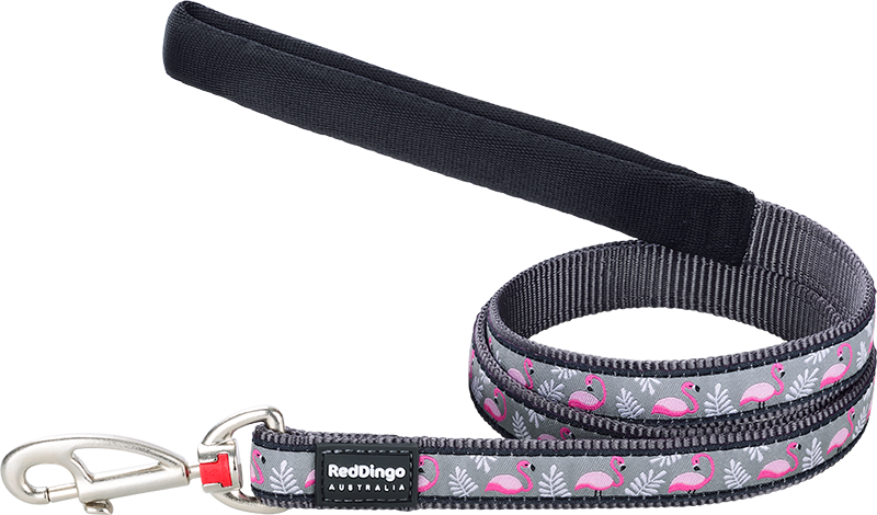 RD Laisse Flamingo Gris-M 20mmx1,2m