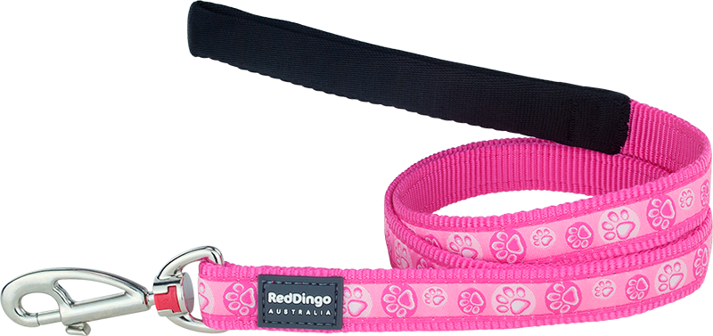 RD Laisse Paw Impressions Rose-XS 12mmx1,2m