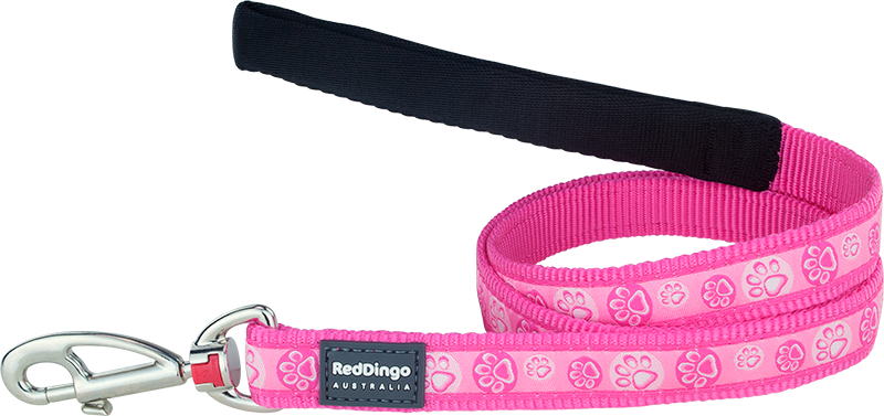 [L4-PI-HP-15] RD Laisse Paw Impressions Rose-S 15mmx1,2m