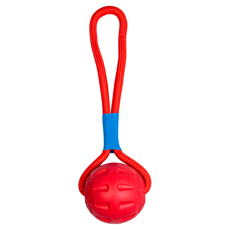 AB EVA TOYS Training Ball German Standard Ass.-Ø7cm