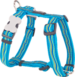 [DH-DS-TQ-20] RD Harnais Dreamstream Turquoise-M 20mm