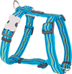 [DH-DS-TQ-20] RD Harness Dreamstream Turquoise-M 20mm
