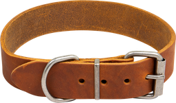 [AB30060] AB COUNTRY LEATHER HD collar Cognac-35mmx35-43cm
