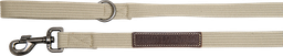 [AB30522] AB CANVAS Leine Beige-25mmx120cm