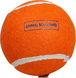 [AB50402] AB TENNIS BALL Orange-13cm
