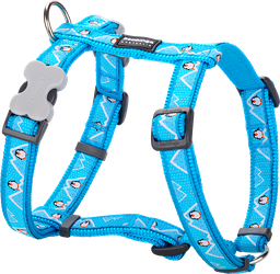 [DH-PE-TQ-12] RD Harnas Penguin Turquoise-XS