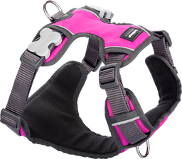 [DH-PH-HP-ME] RD Padded Harness Pink-M 20mm