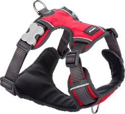 [DH-PH-RE-XS] RD Padded Harness Red-XS 12mm