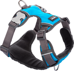 [DH-PH-TQ-XS] RD Padded Harness Turquoise-XS 12mm